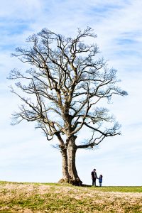 Fun, relaxed and naturel portrait photography